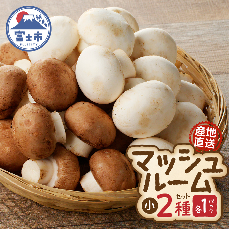 J_Y }bV[ij×2pbNZbg Yn [sf002-351]Éxms9000؁Ê