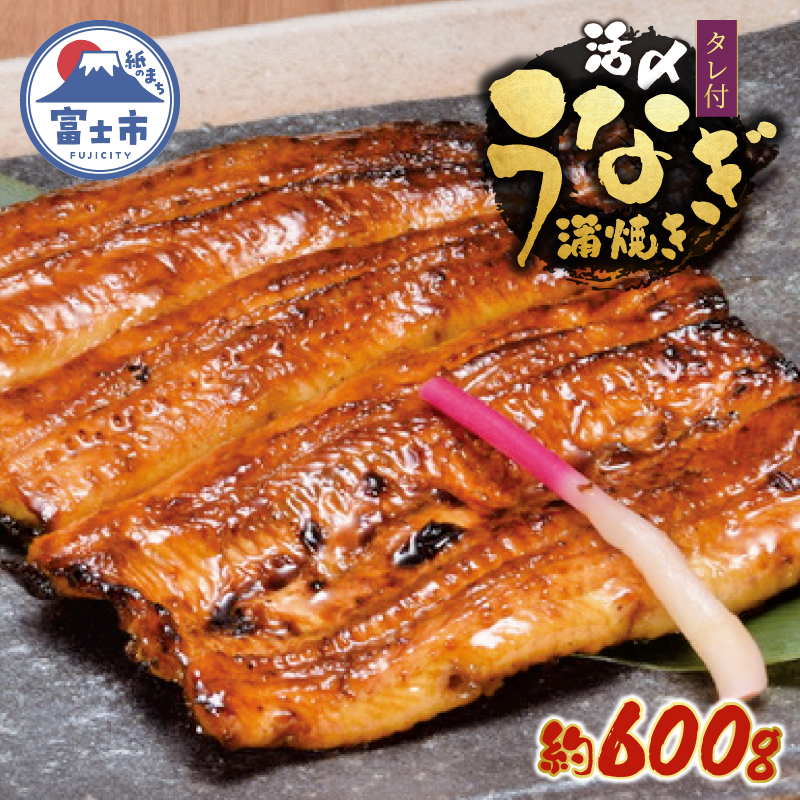 Ⓚ Y VĂ4lOZbg [sf095-001]Éxms40000ECYȂ