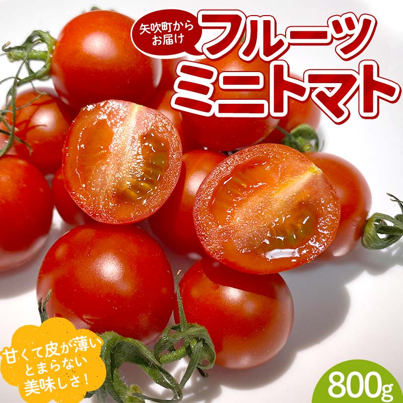 プチっと甘みがはじける!とにかく美味しい フルーツミニトマト 800g おやつやビールのおつまみにも! F6U-143福島県矢吹町8000野菜・きのこトマト