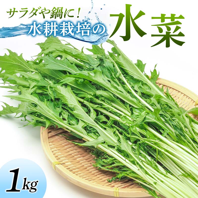 サラダや鍋に!水耕栽培の水菜 1kg F6U-281福島県矢吹町8000野菜・きのこその他 野菜