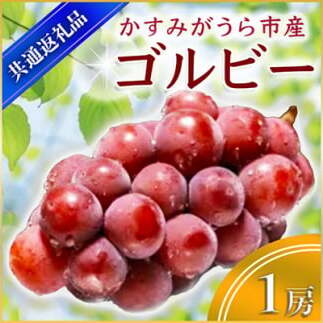 2025N9{菇\聄Sr[@1[(ʕԗi:݂sY) (BR042)錧闢18000ʕEt[c}XJbgEԂǂ