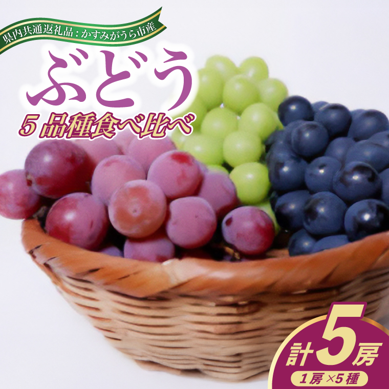 2025N8菇\聄Ԃǂ5iHה(ʕԗi:݂sY) (BR077)錧闢60000ʕEt[c}XJbgEԂǂ