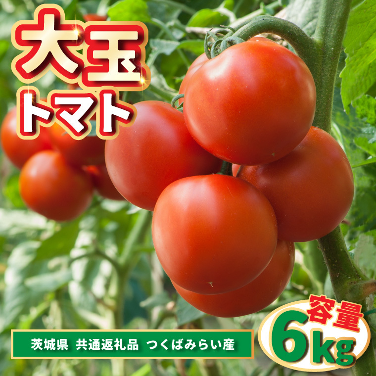 大玉トマト 6kg (県内共通返礼品:つくばみらい市産) (BR094)茨城県城里町26000野菜・きのこトマト