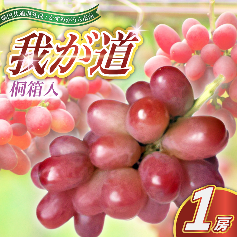 <2025年9月より順次発送予定>我が道 桐箱入り1房(県内共通返礼品:かすみがうら市産) (BR099)茨城県城里町26000果物・フルーツマスカット・ぶどう