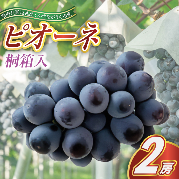 2025N7菇\聄sI[l@˔2[(ʕԗi:݂sY) (BR101)錧闢50000ʕEt[c}XJbgEԂǂ