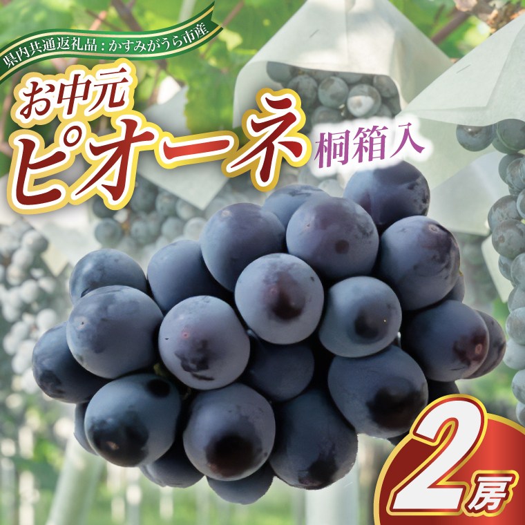 <2025年8月より順次発送予定>お中元 ピオーネ桐箱入り2房 (県内共通返礼品:かすみがうら市産) (BR105)茨城県城里町50000果物・フルーツマスカット・ぶどう