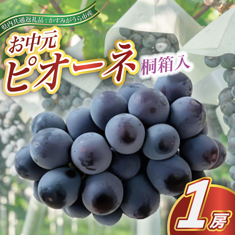 <2025年8月より順次発送予定>お中元 ピオーネ 桐箱入り1房(県内共通返礼品:かすみがうら市産) (BR110)茨城県城里町30000果物・フルーツマスカット・ぶどう