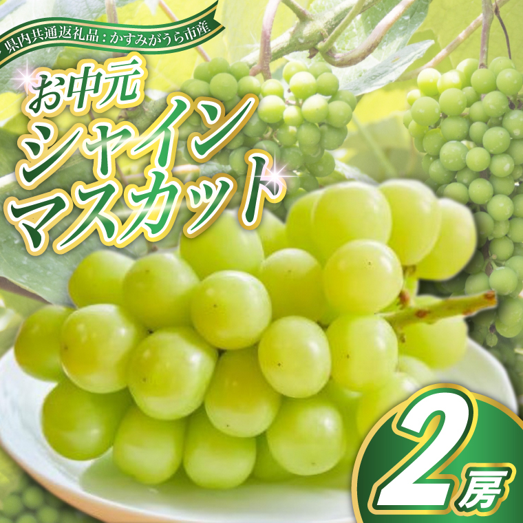 <2025年8月より順次発送予定>お中元 シャインマスカット2房(県内共通返礼品:かすみがうら市産) (BR114)茨城県城里町30000果物・フルーツマスカット・ぶどう