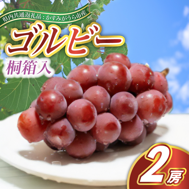 <2025年9月より順次発送予定>ゴルビー 桐箱入り2房(県内共通返礼品:かすみがうら市産) (BR115)茨城県城里町50000果物・フルーツマスカット・ぶどう
