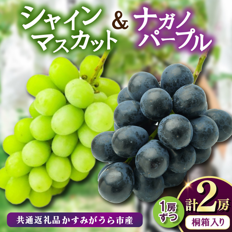 ˔iKmp[v1[EVC}XJbg1[@ʕԗi:݂sY (BR164)錧闢47000ʕEt[c}XJbgEԂǂ