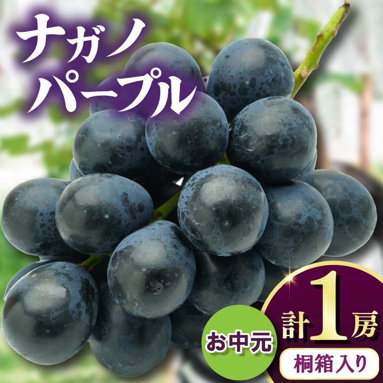 お中元桐箱入りナガノパープル1房 県内共通返礼品:かすみがうら市産 (BR170)茨城県城里町30000果物・フルーツマスカット・ぶどう