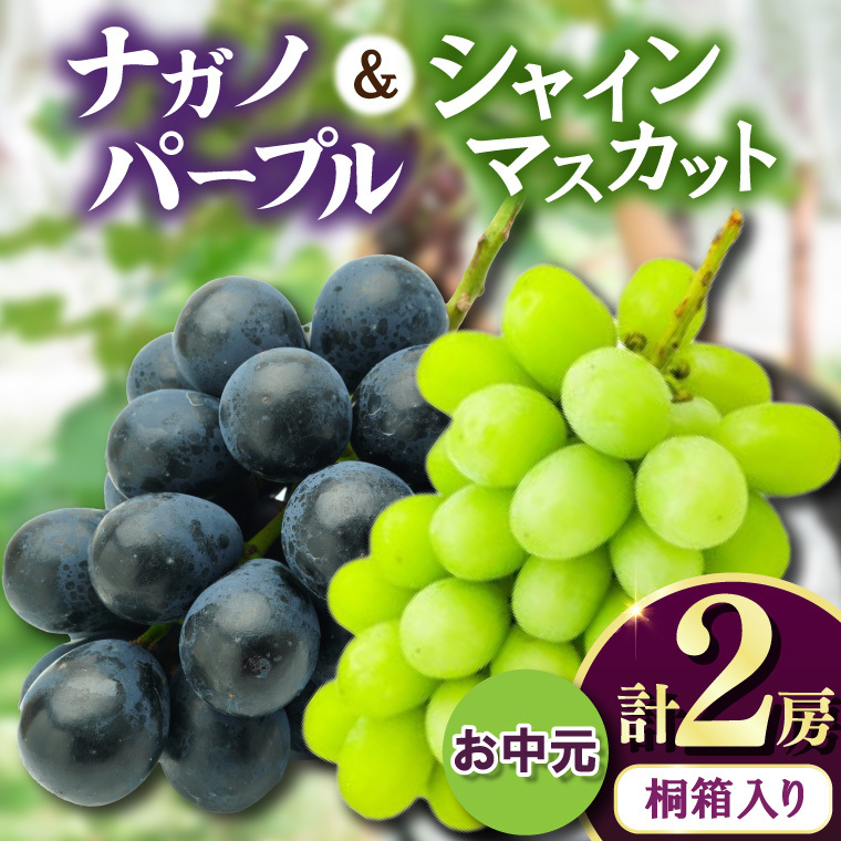 お中元桐箱入りナガノパープル1房・シャインマスカット1房 県内共通返礼品:かすみがうら市産 (BR171)茨城県城里町47000果物・フルーツマスカット・ぶどう