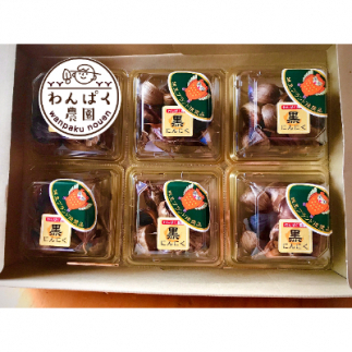 わんぱく農園の黒にんにく (BT001)茨城県城里町14000野菜・きのこその他 野菜