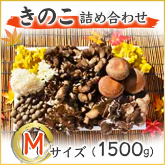 ̂̋lߍ킹@MTCY(1.500g) (AU001)錧闢12000؁Ê̂