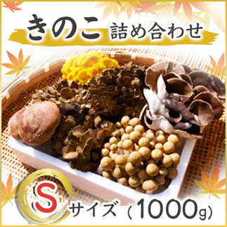 きのこの詰め合わせSサイズ(1000g) (AU004)茨城県城里町8000野菜・きのこきのこ