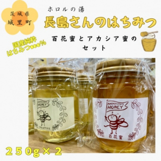 長島さんのはちみつ 百花蜜とアカシア蜜 各250g (BG015)茨城県城里町11000鍋セット・総菜・加工食品ジャム・はちみつ