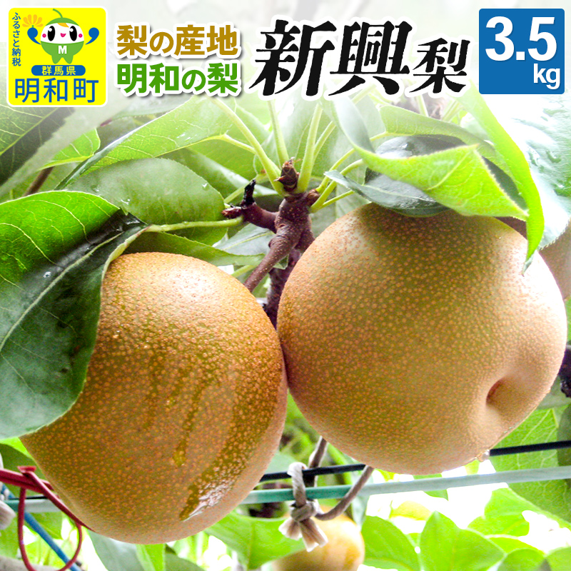 梨(新興)3.5kg【10月下旬〜11月上旬にお届け】群馬県明和町12000果物・フルーツ