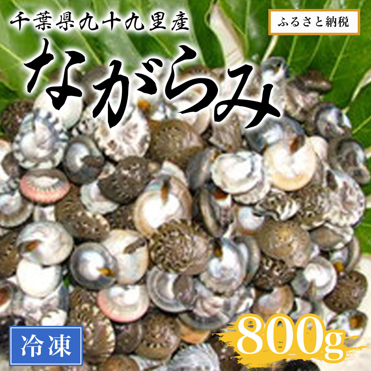千葉県九十九里産ながらみ(冷凍)800g SMAR002千葉県山武市11000魚介・海産物その他 魚介・海産物