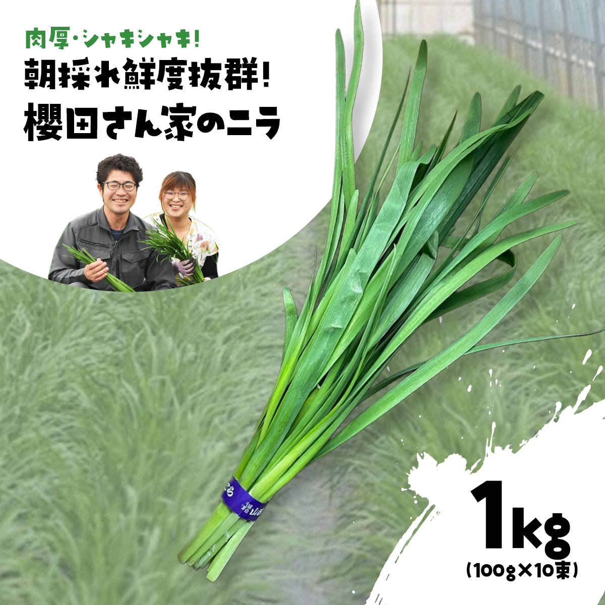 ys\zy12甭zEVLVL! ̂NxQ! NcƂ̃j 1kg(100g×10) SMCS001tRs6000؁Ê̑ 