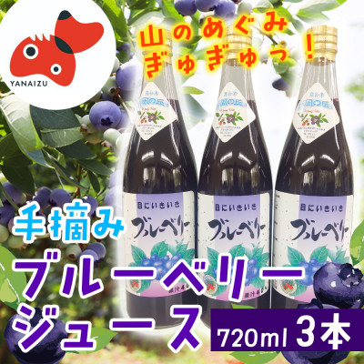 【山の恵みぎゅっと!】手摘みブルーベリージュース 720ml 【3本セット】【1362298】福島県柳津町10000お茶・飲料果汁・野菜飲料