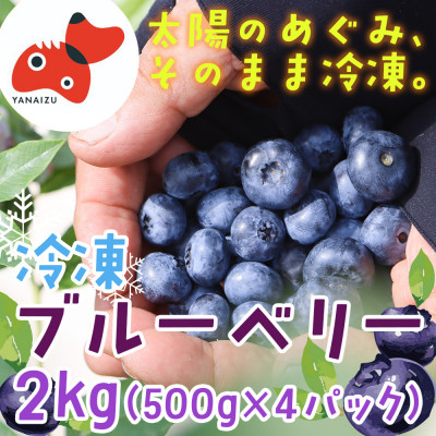 yE݂ėⓀzR̒ňⓀu[x[(500g×4pbN)yzsnFzy1362345zÒ20000ʕEt[c̑ ʕEt[c