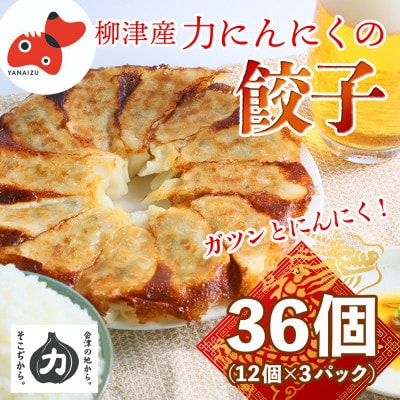 【ガツンとにんにく!】力にんにくを使った餃子【冷凍】 36個(12個×3パック)【配送不可地域:離島】【1510129】福島県柳津町9000鍋セット・総菜・加工食品総菜
