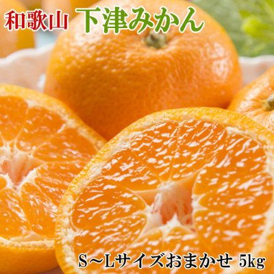 【産直・秀品】和歌山下津みかん約5kg(S〜Lサイズおまかせ)(九度山町)【1091016】和歌山県九度山町12000果物・フルーツみかん・柑橘類