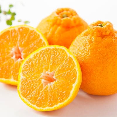 【お味濃厚】紀州有田産のデコポン約5kg(18玉〜24玉入り)(九度山町)【1091498】和歌山県九度山町18000果物・フルーツみかん・柑橘類