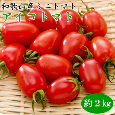 y2026N5oוza̎RY~jg}guACRg}gv2kg(SEMTCY܂)xRyzsnFEkCEzy1095712za̎RxR10000؁Êg}g