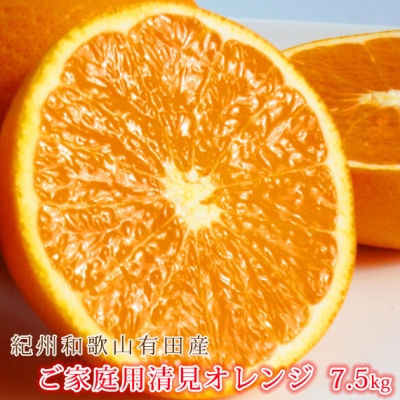 【2026年4月以降発送】【ご家庭用訳アリ】紀州有田産 清見オレンジ 7.5kg【1098121】和歌山県九度山町16000果物・フルーツみかん・柑橘類