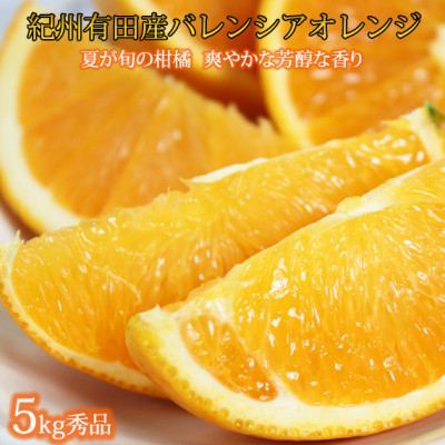 秀品 国産バレンシアオレンジ5kg【1098124】和歌山県九度山町16000果物・フルーツみかん・柑橘類