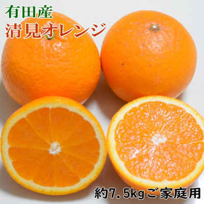 【濃厚】有田産清見オレンジ約7.5kg(M〜3Lサイズ)ご家庭用(九度山町)【1106392】和歌山県九度山町14000果物・フルーツみかん・柑橘類