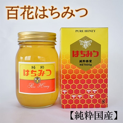 【純粋国産】和歌山県産百花はちみつ約600g(九度山町)【1108024】和歌山県九度山町12000鍋セット・総菜・加工食品ジャム・はちみつ