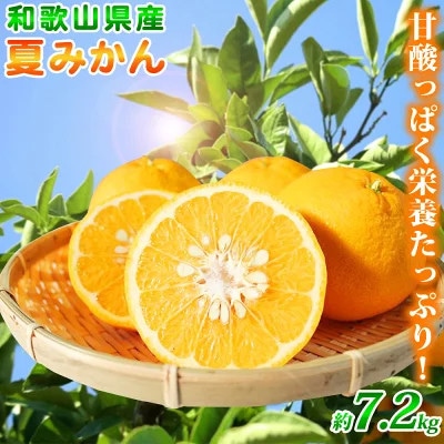 【2024年発送】【九度山町】夏みかん 7.2kg【1111531】和歌山県九度山町14000果物・フルーツみかん・柑橘類