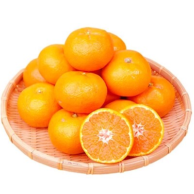 【九度山町】赤秀品 紀州和歌山ハウスみかん 約2.5kg【配送不可地域:離島】【1111533】和歌山県九度山町20000果物・フルーツみかん・柑橘類