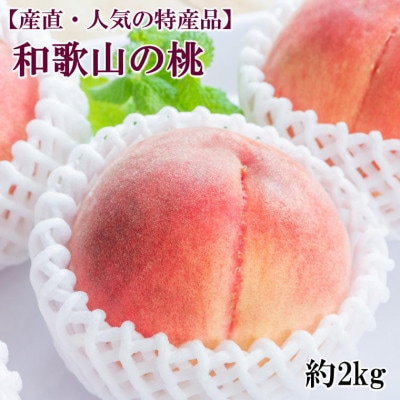 【産直・人気の特産品】和歌山の桃 約2kg・秀品【2026年度発送分】(九度山町)【配送不可地域:離島・北海道・沖縄】【1121793】和歌山県九度山町16000果物・フルーツもも・すもも