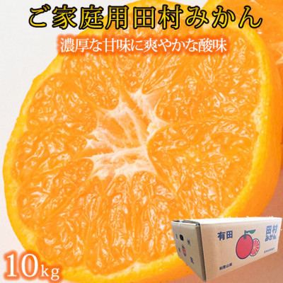 2023年11月下旬以降発送【九度山町】【ご家庭用訳あり】田村みかん 10kg【1137957】和歌山県九度山町17000果物・フルーツみかん・柑橘類