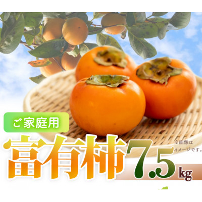 【2025年発送】【ご家庭用わけあり】和歌山秋の味覚 富有柿 約7.5kg【九度山町】【1140621】和歌山県九度山町20000果物・フルーツその他 果物・フルーツ