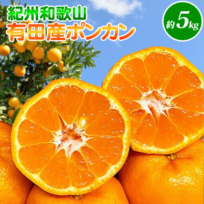 紀州和歌山有田産ポンカン 5kg【九度山町】【配送不可地域:離島】【1140624】和歌山県九度山町17000果物・フルーツみかん・柑橘類