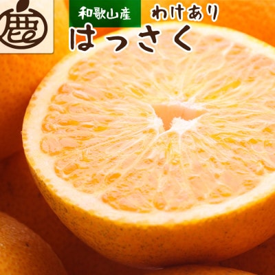 <1月より発送>家庭用 はっさく4.5kg+135g(傷み補償分)【春みかん】【訳あり】【配送不可地域:離島・北海道・沖縄】【1169131】和歌山県九度山町7000果物・フルーツみかん・柑橘類