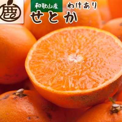 <2月より発送>家庭用 せとか2kg+60g(傷み補償分)【光センサー選果】【訳あり】【配送不可地域:離島・北海道・沖縄】【1169151】和歌山県九度山町11000果物・フルーツみかん・柑橘類