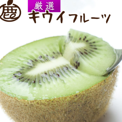 I LEC2.5kg+250g(ݕ⏞)yGʁzyzsnFkCEzy1176786za̎RxR11000ʕEt[c̑ ʕEt[c