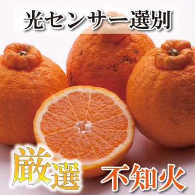 <2月より発送>厳選 不知火3kg+90g(傷み補償分)【光センサー】【配送不可地域:離島・北海道・沖縄】【1176793】和歌山県九度山町15000果物・フルーツみかん・柑橘類