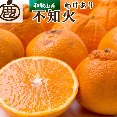 <2月より発送>家庭用 不知火1.5kg+45g(傷み補償分)【光センサー】【訳あり】【配送不可地域:離島・北海道・沖縄】【1176799】和歌山県九度山町7000果物・フルーツみかん・柑橘類