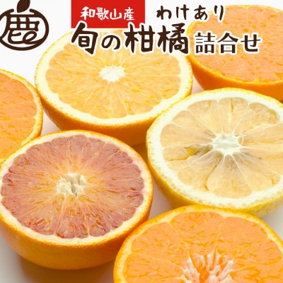 <1月より発送>家庭用 柑橘詰合せ1.5kg+45g(傷み補償分)【訳あり】【フルーツ詰め合せ】【配送不可地域:離島・北海道・沖縄】【1176801】和歌山県九度山町7000果物・フルーツみかん・柑橘類