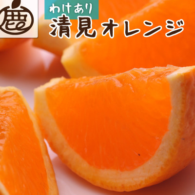家庭用 清見2.5kg+250g(傷み補償分)【訳あり】【光センサー選果】【樹上完熟きよみオレンジ】【配送不可地域:離島・北海道・沖縄】【1176812】和歌山県九度山町8000果物・フルーツみかん・柑