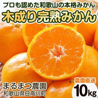 【2025年12月発送】濃厚完熟 木成り温州みかん 10kg ミックスサイズ 和歌山県産【配送不可地域:離島】【1233967】和歌山県九度山町24000果物・フルーツみかん・柑橘類