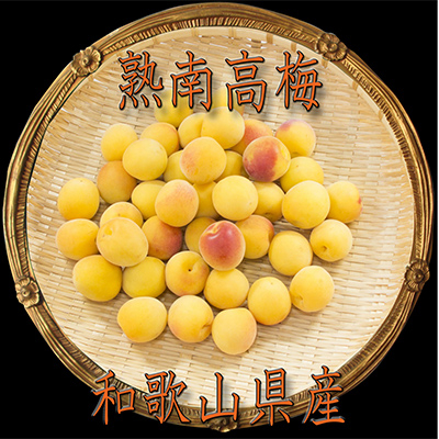 2026/6蔭y~E~pzIBa̎Ȑn썂~2LorL-10kgyzsnFEkCEzy1288590za̎RxR90000ʕEt[c̑ ʕEt[c
