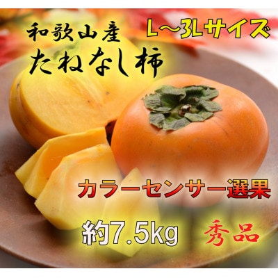 【2025年発送】JA紀北かわかみのたねなし柿 秀品 7.5kg L〜3Lサイズ(36玉〜28玉)【1296390】和歌山県九度山町14000果物・フルーツその他 果物・フルーツ