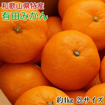 [Gi]a̎RLc݂4kg(2LTCY)u2025N11{菇v(xR)y1297139za̎RxR10000ʕEt[c݂Ek